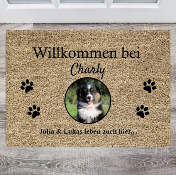 Meine Haustiere - Personalisierte Fußmatte (1-4 Haustiere)