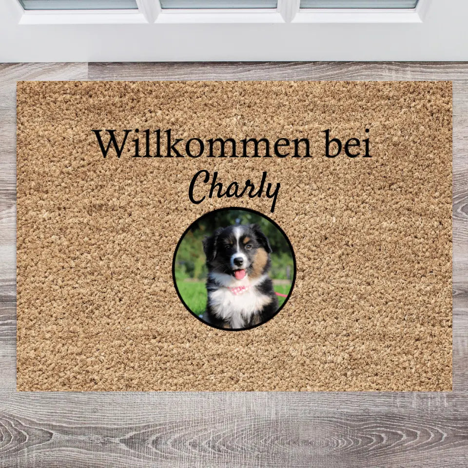 Meine Haustiere - Personalisierte Fußmatte (1-4 Haustiere)