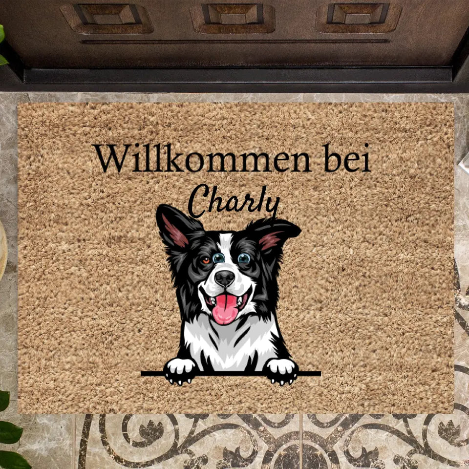 Katzenfreunde- Personalisierte Fußmatte (1-4 Katzen)