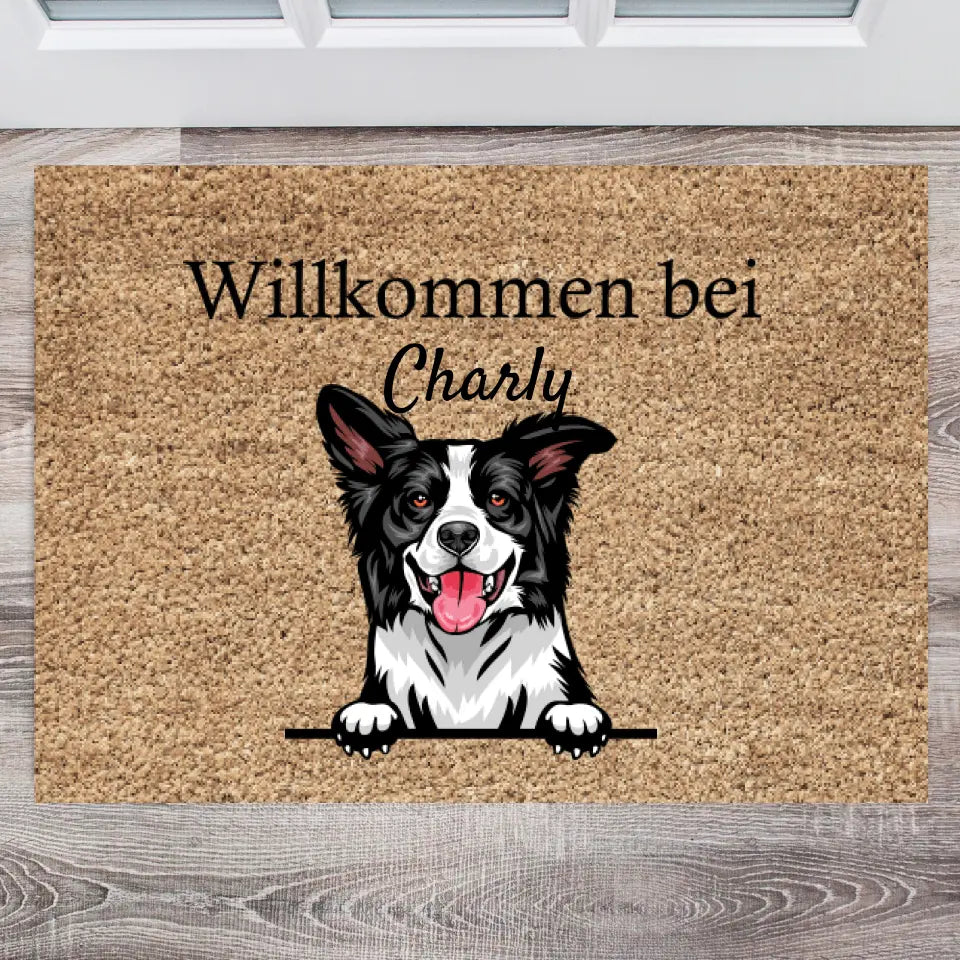 Willkommen bei - Personalisierte Fußmatte Hund & Katze (1-4 Haustiere)