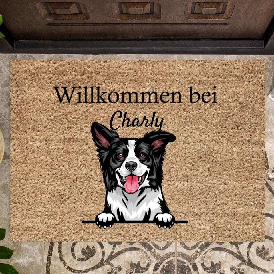 Willkommen bei - Personalisierte Fußmatte Hund & Katze (1-4 Haustiere)